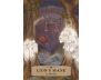 The Herbal Astrology Oracle view 3