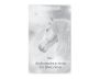 The Magic of Unicorns view 11