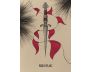 Fated: A Pocket Love Oracle view 6