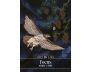 The Familiar Magic Pocket Oracle view 3