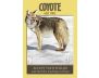 Power Animal Oracle Cards view 7