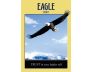 Power Animal Oracle Cards view 9