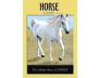 Power Animal Oracle Cards view 4