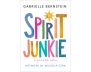 Spirit Junkie view 1