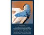 The Spirit Messages Daily Guidance Oracle Deck view 4