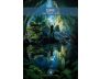 Messages from the Spirits of Nature Oracle view 4