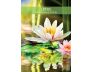 Messages from the Spirits of Nature Oracle view 10