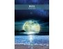 Messages from the Spirits of Nature Oracle view 11