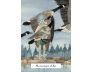 The Witches' Wisdom Tarot view 3