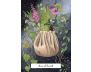 The Witches' Wisdom Tarot view 6