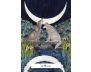 The Witches' Wisdom Tarot view 8